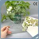 Colorful Wholesale Acrylic Products 8.2*5.7 Inch Or Custom Suppliers 1