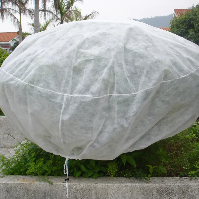PP tecido não tecido frutas tomate banana capa jardim planta capa de proteção para o inverno 1