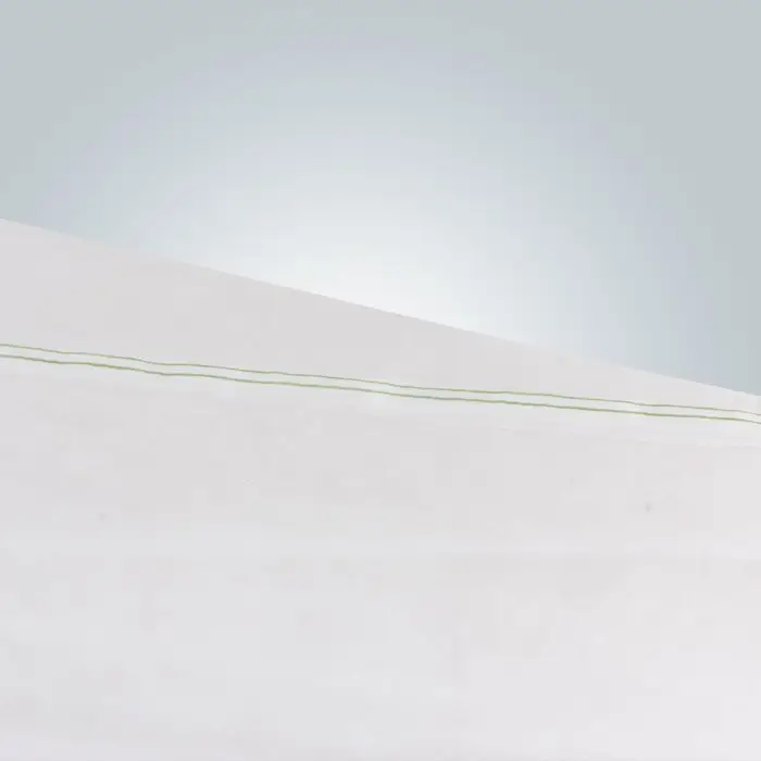 rayson nonwoven Rayson Toplu sebze bahçesinde OEM peyzaj kumaşını toplu olarak satın alıyor 2