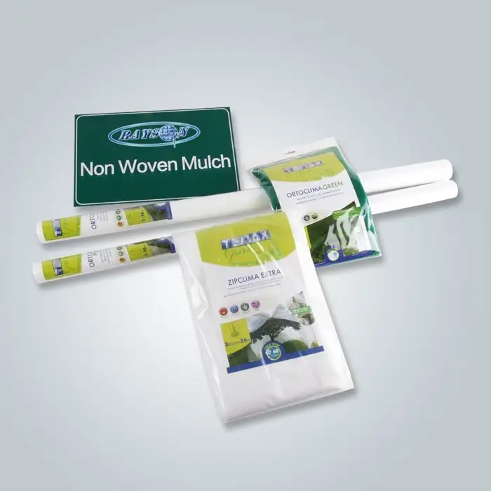 Rayson nonwoven Rayson Özel ODM peyzaj kumaşı çakıl üreticisi altında 2