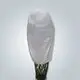 rayson nonwoven,ruixin,enviro rolled polypropylene landscape fabric from China for home 2