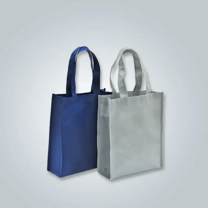 Precio no tejido de alta calidad del bolso de compras al por mayor de Rayson 2