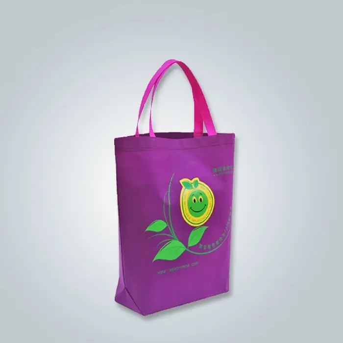 Rayson Custom Eco Friendly Non Woven Spunbond Bag with Vivid Color and Pattern 1