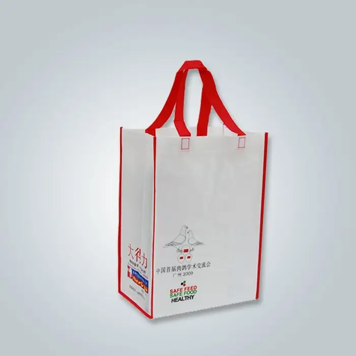 Spunbond bag & Non woven handle bag 1
