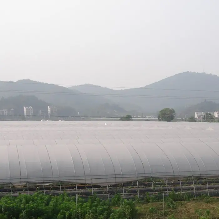 Rayson Bulk compra tecido de paisagem comercial personalizado a granel 2