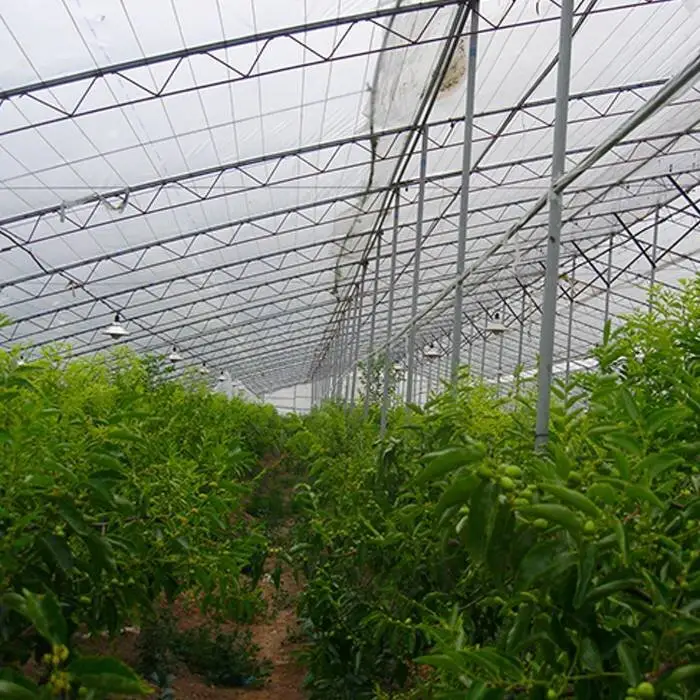 UV Nonwoven Cover Fabric Breathable Greenhouse Fabric Cover 1