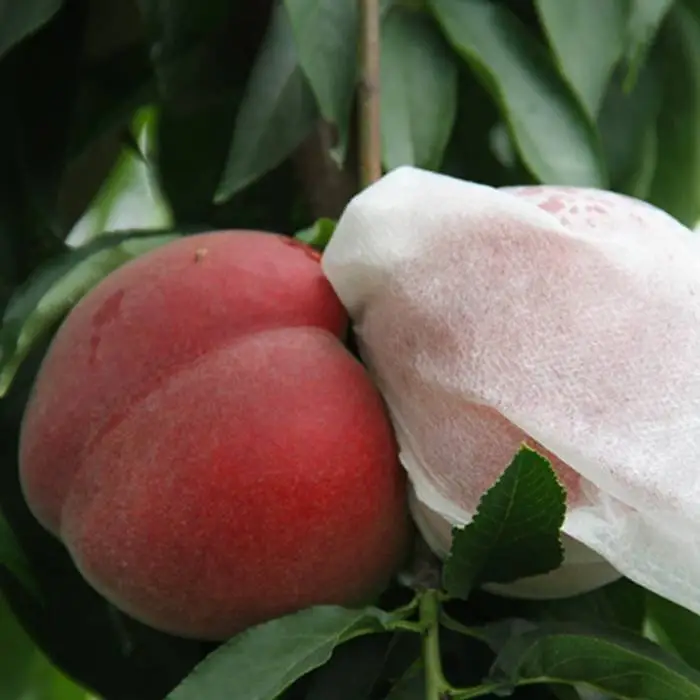 Fruit Cover Polypropylene spundbond Non-Woven Fabric Bag 1