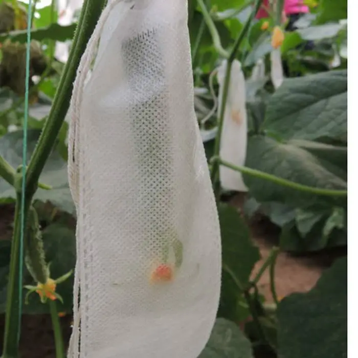 Aumento da colheita pp Capas de frutas em tecido não tecido 1