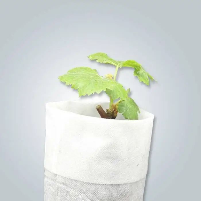 Capa protetora de plantas não tecido 100% polipropileno tratamento UV 3% 1