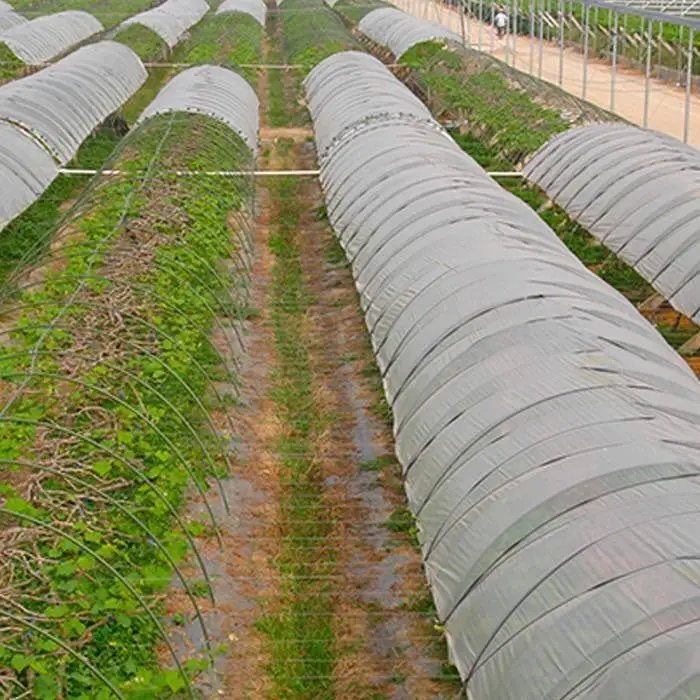 Nova temporada de tecido não tecido com efeito de estufa resistente a UV 1