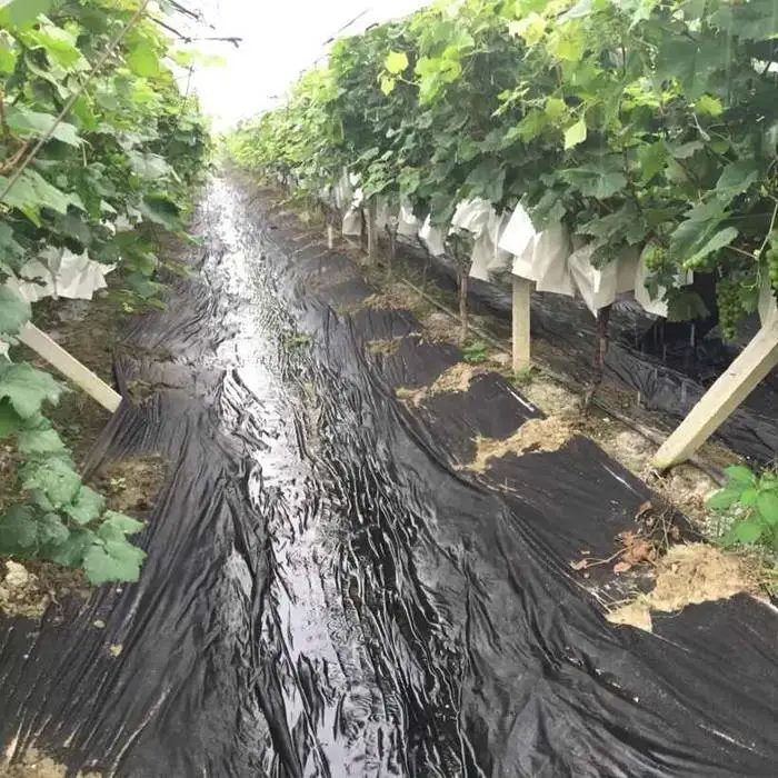 UV resistant black weed mat spunbond non-woven fabric 1