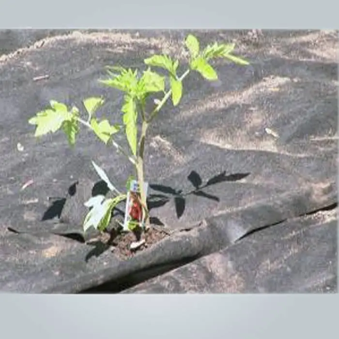Tecido não tecido tratado com UV & tecido de paisagem resistente a UV 1