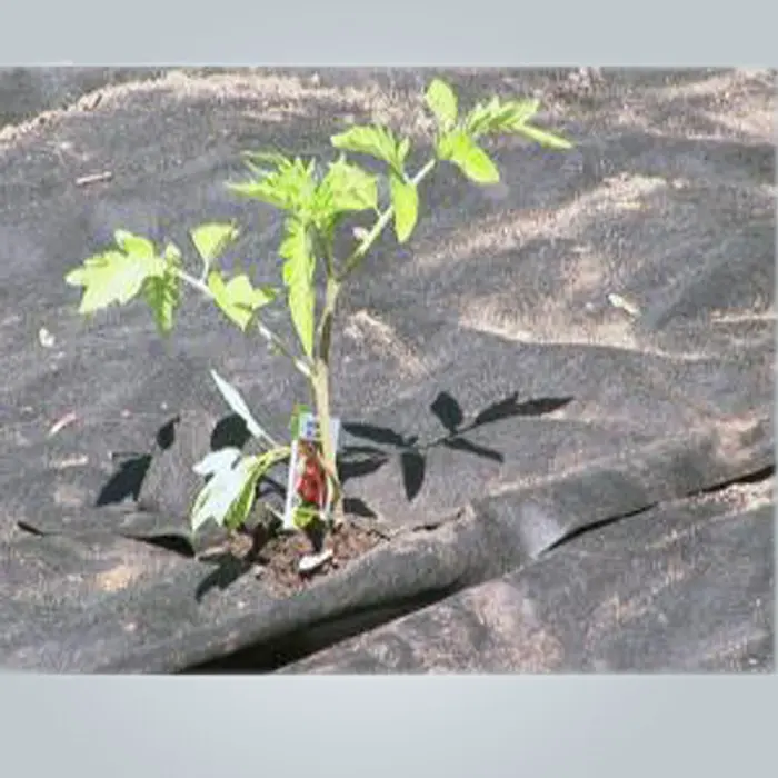 रेसन नॉनवुवेन रेसन ओईएम स्कॉट के लैंडस्केप फैब्रिक निर्माता 2