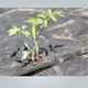 रेसन नॉनवुवेन रेसन ओईएम स्कॉट के लैंडस्केप फैब्रिक निर्माता 2