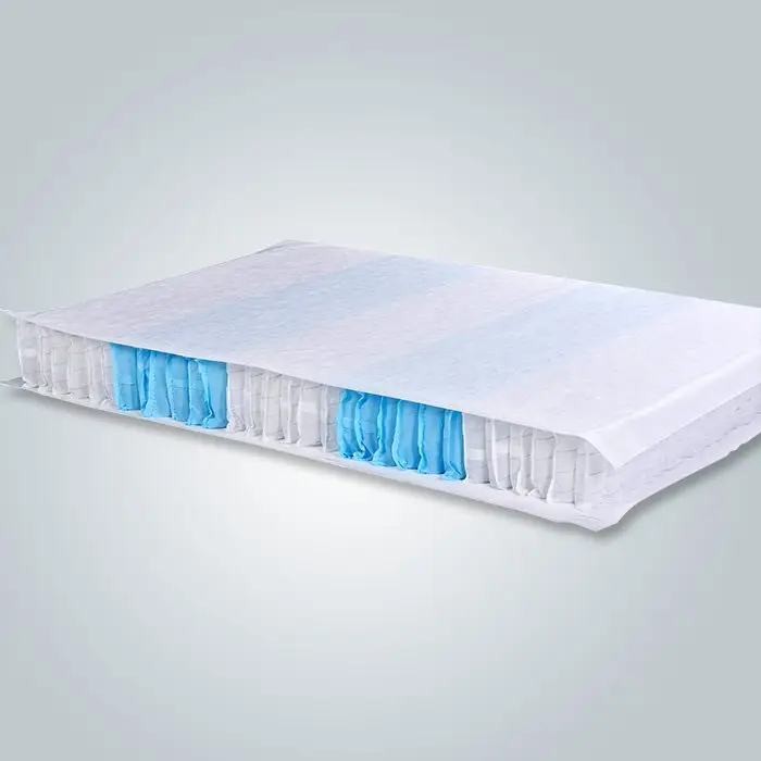 Rayson Bulk purchase custom hydrophilic nonwoven fabric price 2