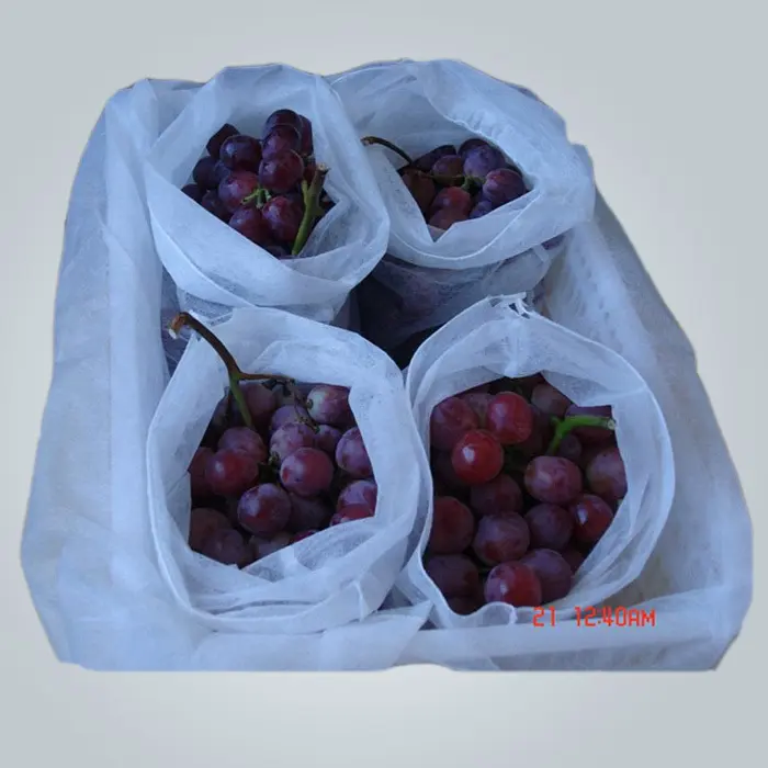 rayson nonwoven freeze cloth for plants factory 2