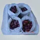 rayson nonwoven freeze cloth for plants factory 2