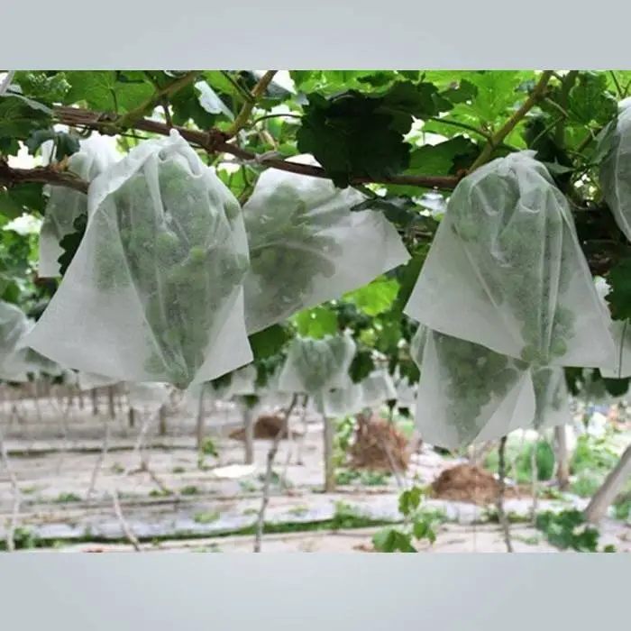 Fruit bag in pp non woven fabric against insects 1