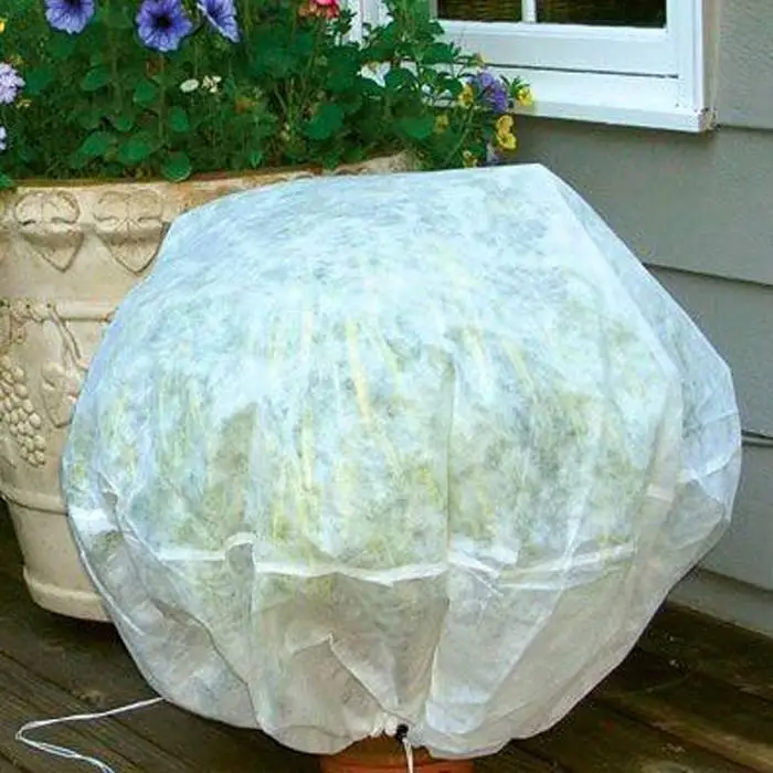 Tear Resistant Spun Bonded Non Woven Plant Cover for Agriculture and Landscape Use 1