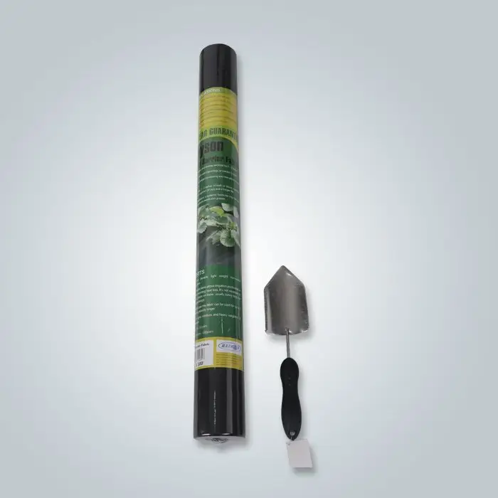 rayson nonwoven OEM landscape fabric price manufacturer for clothing 2