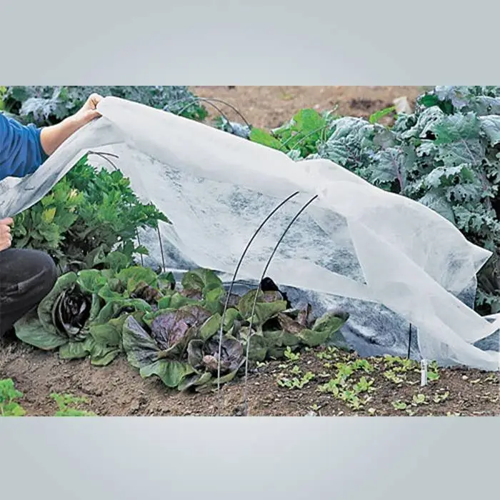 Tecido não tecido agrícola de proteção contra congelamento tecido anti-uv 1