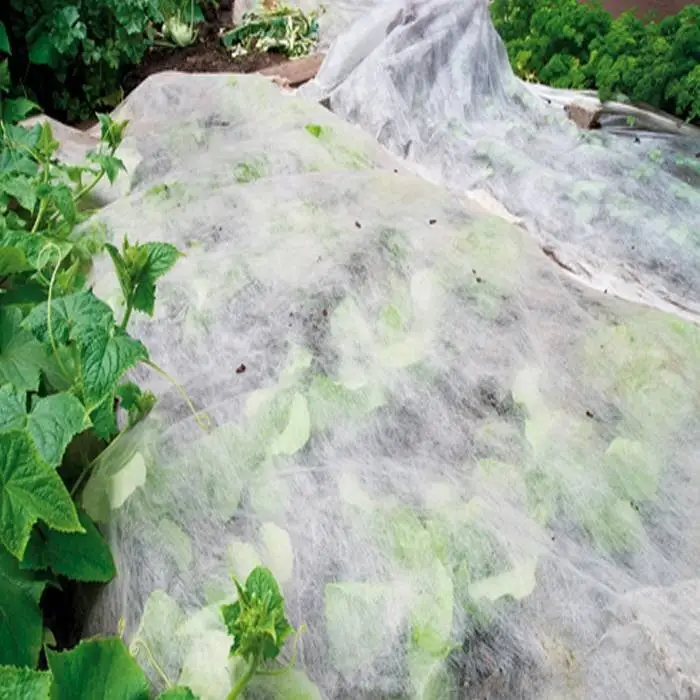 2% UV Resistant Agriculture Non Woven Fabric 100% PP Spunbond Plain Style 1