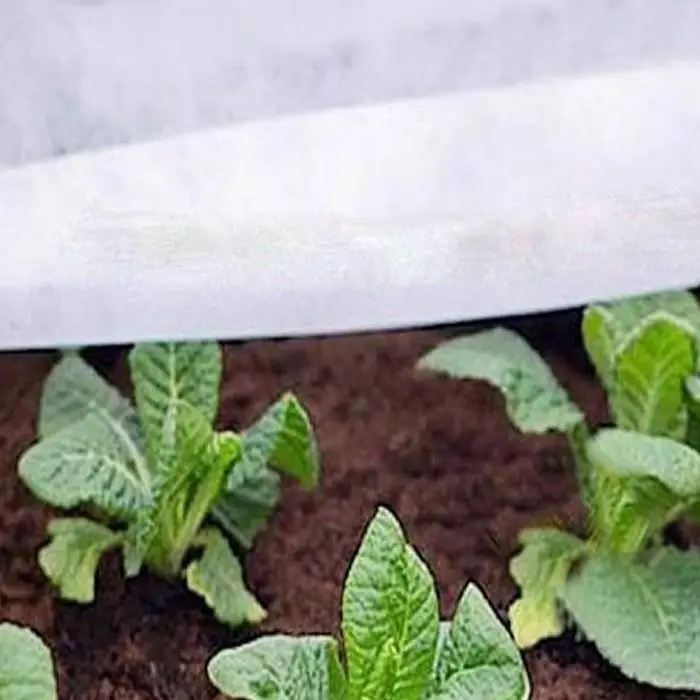 White Color PP Nonwoven Fabric for Reducing Pest And Diseases Of Plant 1
