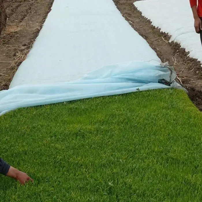 Rayson Wholesale custom landscape fabric price manufacturer 2