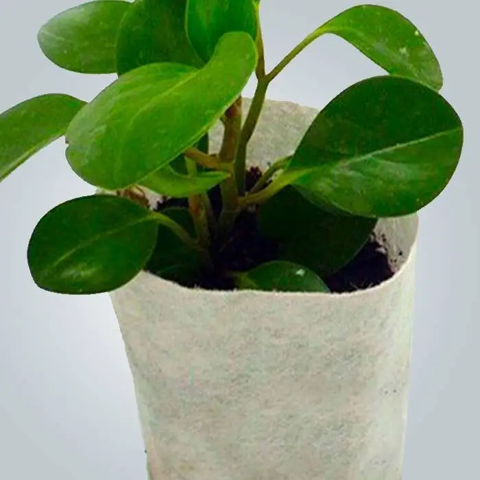 Papel de embrulho de flores não tecido hidrofílico para flores ou sacos de plantas 1