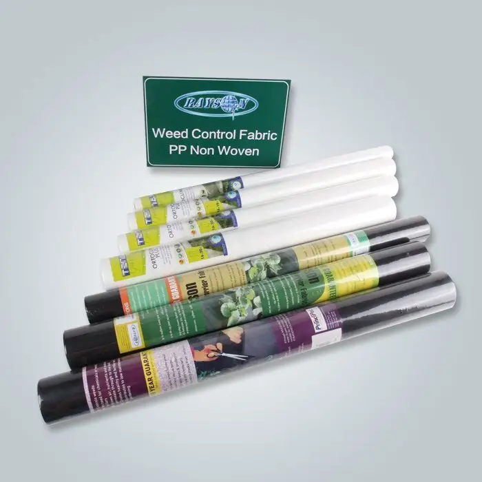 Rayson OEM organic landscape fabric supplier 2