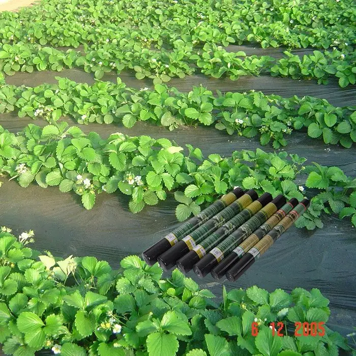 Empresa de tecidos para paisagens de jardim de alta qualidade Rayson 2