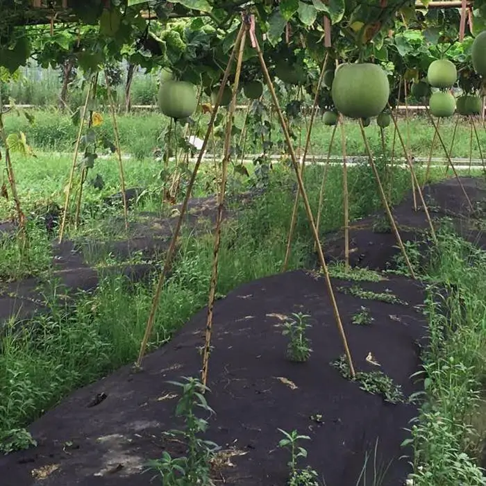 Tela de paisaje spunbond de polipropileno no tejido para agricultura 1