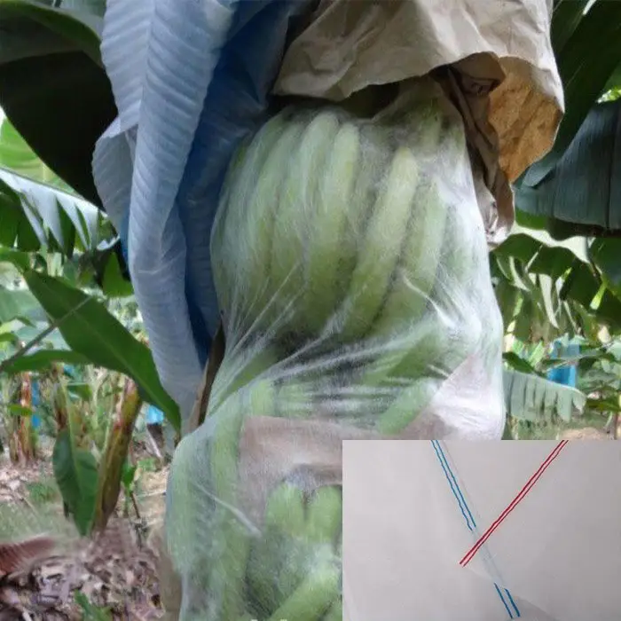 rayson nonwoven,ruixin,enviro finished fabric raised garden beds manufacturer for blanket 2