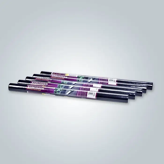 rayson nonwoven brand weed barrier fabric for vegetable garden factory for farm 2