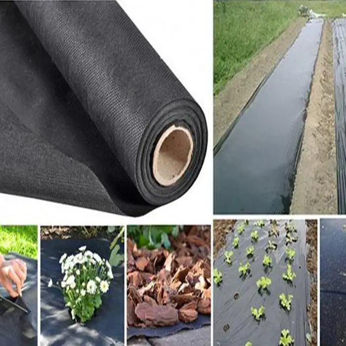 Rayson nonwoven Toplu OEM en iyi ot membran üreticisini satın alın 2