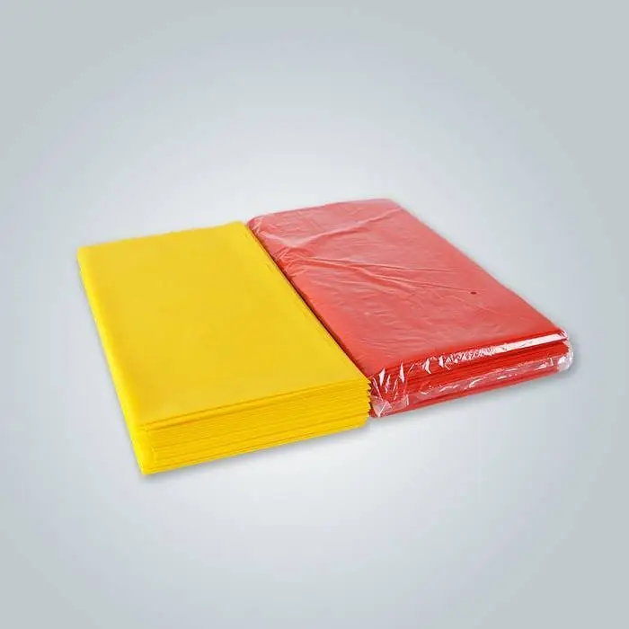 Rayson Factory PP Non-Woven Fabric No Tejido Tablecloth Export To Spain 1