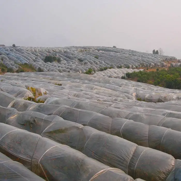 Supply UV3% agriculture 100% polypropylene nonwoven fabric for plant mothproof and coves 1