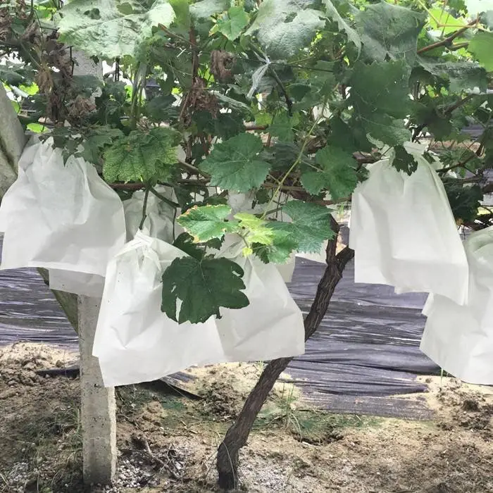Meyve çantası için Çin fabrikasından tarım dokunmamış kumaş 1