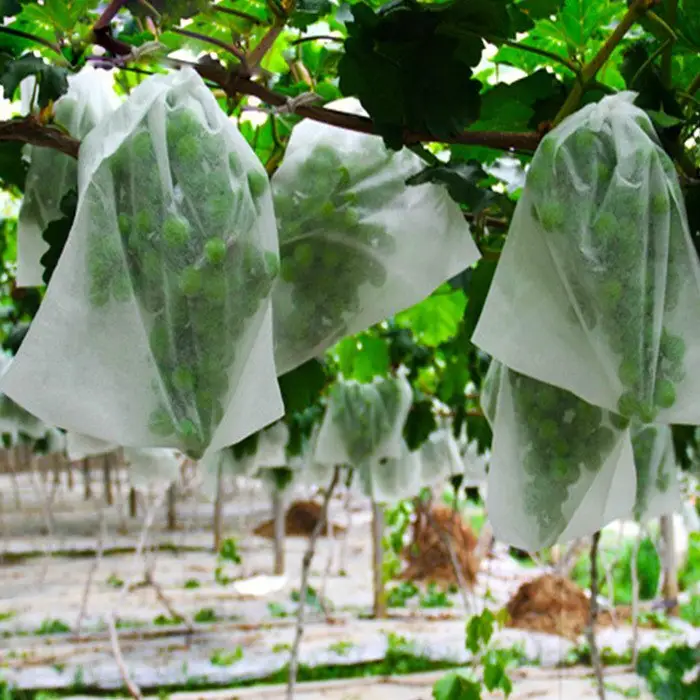 rayson nonwoven ODM biodegradable garden fabric supplier for indoor 2