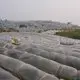 rayson nonwoven Custom commercial weed control fabric supplier for outdoor 2