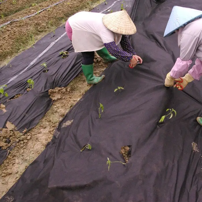 rayson nonwoven anti grey landscape fabric supplier for covering 2