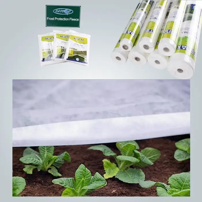 rayson nonwoven agricultural industrial weed control fabric supplier for outdoor 2