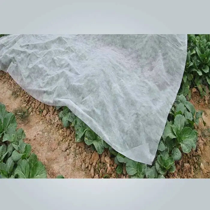 Tela agrícola no tejida de protección contra heladas 100% PP para invierno 1