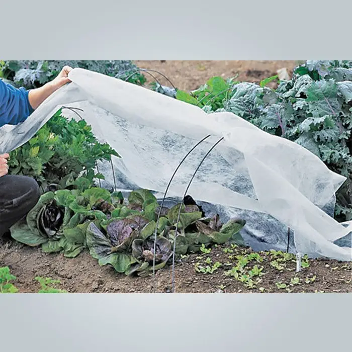 rayson nonwoven Custom landscape fabric ground cover manufacturer for clothing 2