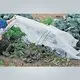 rayson nonwoven Custom landscape fabric ground cover manufacturer for clothing 2