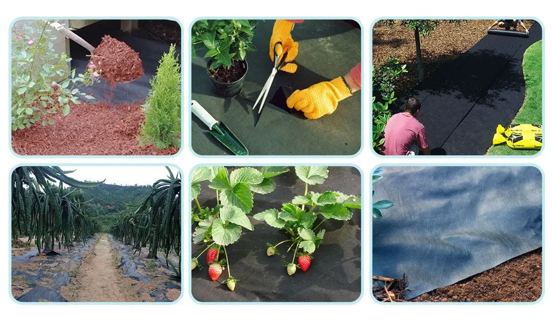 OEM 6 ft landscape fabric 506070g supplier for greenhouse 2