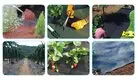 OEM 6 ft landscape fabric 506070g supplier for greenhouse 2