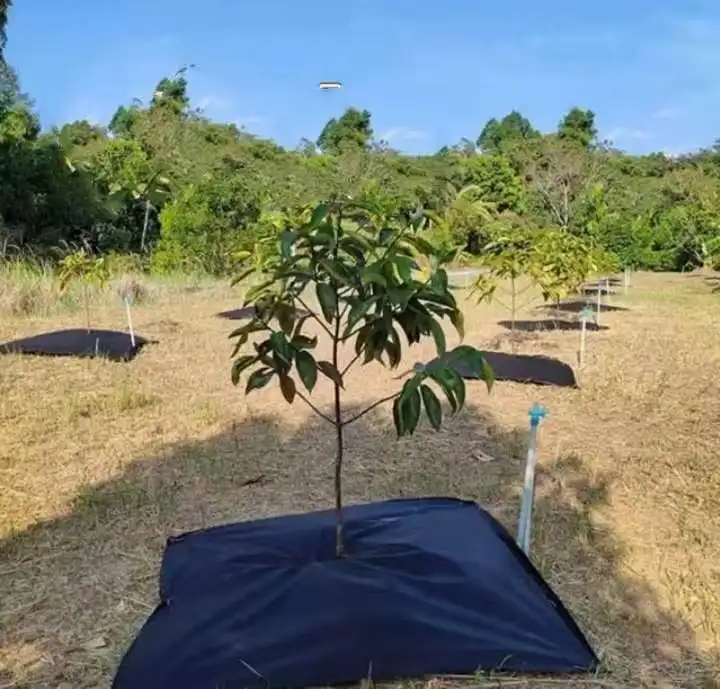 रेसन नॉनवॉवन द्वारा निर्मित 4 फुट चौड़ा लैंडस्केप फैब्रिक 5