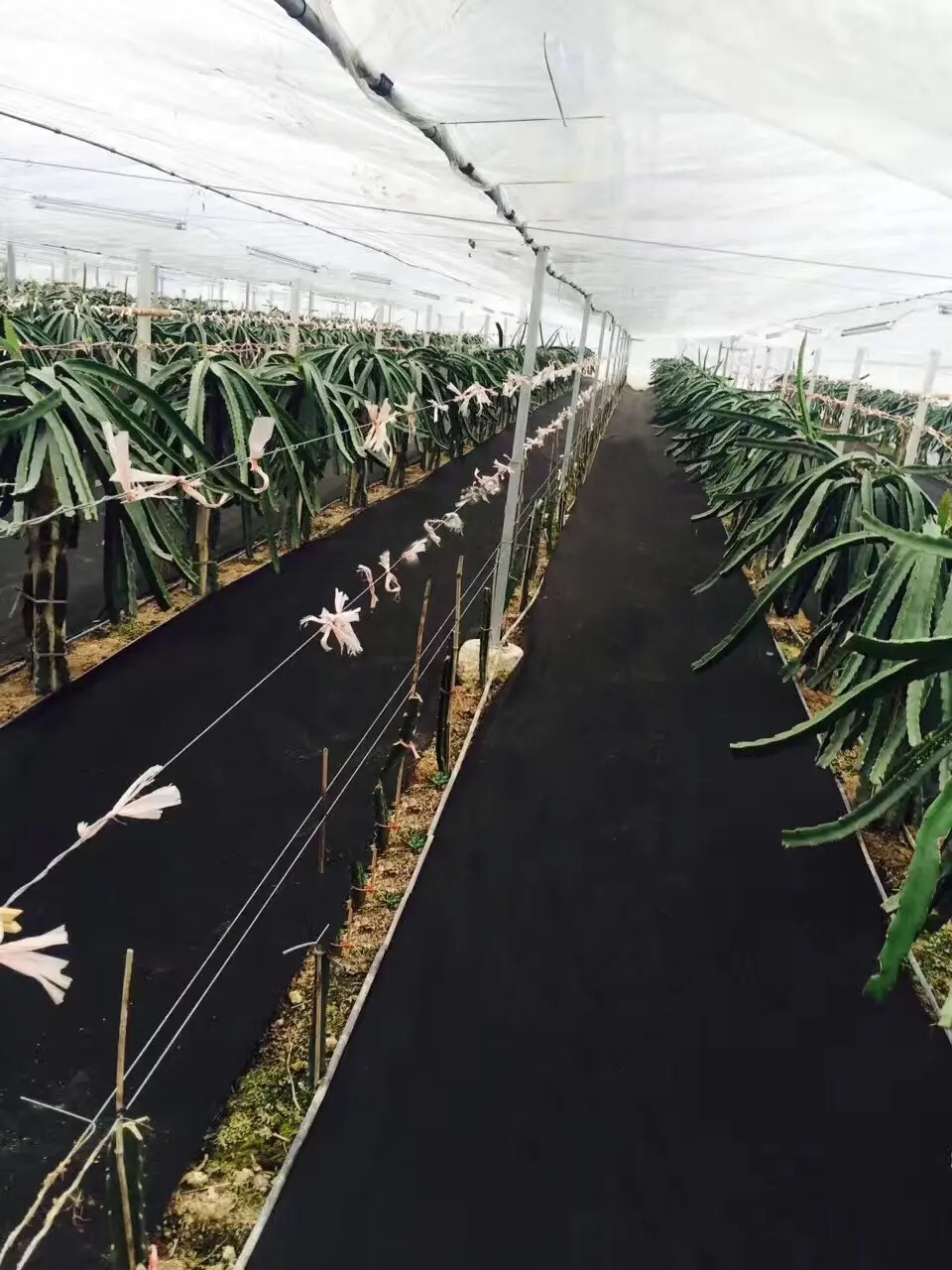 1%-4% Anti UV PP Non Woven Fabric Hydrophilic Agriculture Weed Block Mat Spun-bonded Weed Membrane 1