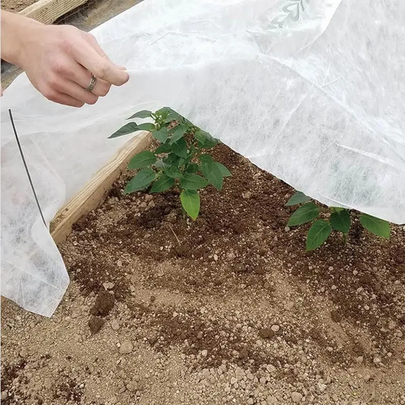 High Quality UV protection Pp spunbond non woven Frost protection blanket plant cover With Good Price-rayson nonwoven 1